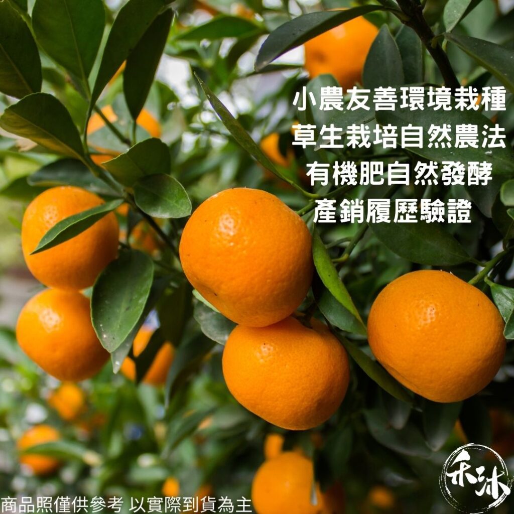 網紅媒合平台｜ 禾沐 大吉大利年節禮盒｜ HoWu好物