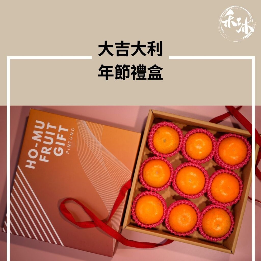 網紅媒合平台｜ 禾沐 大吉大利年節禮盒｜ HoWu好物