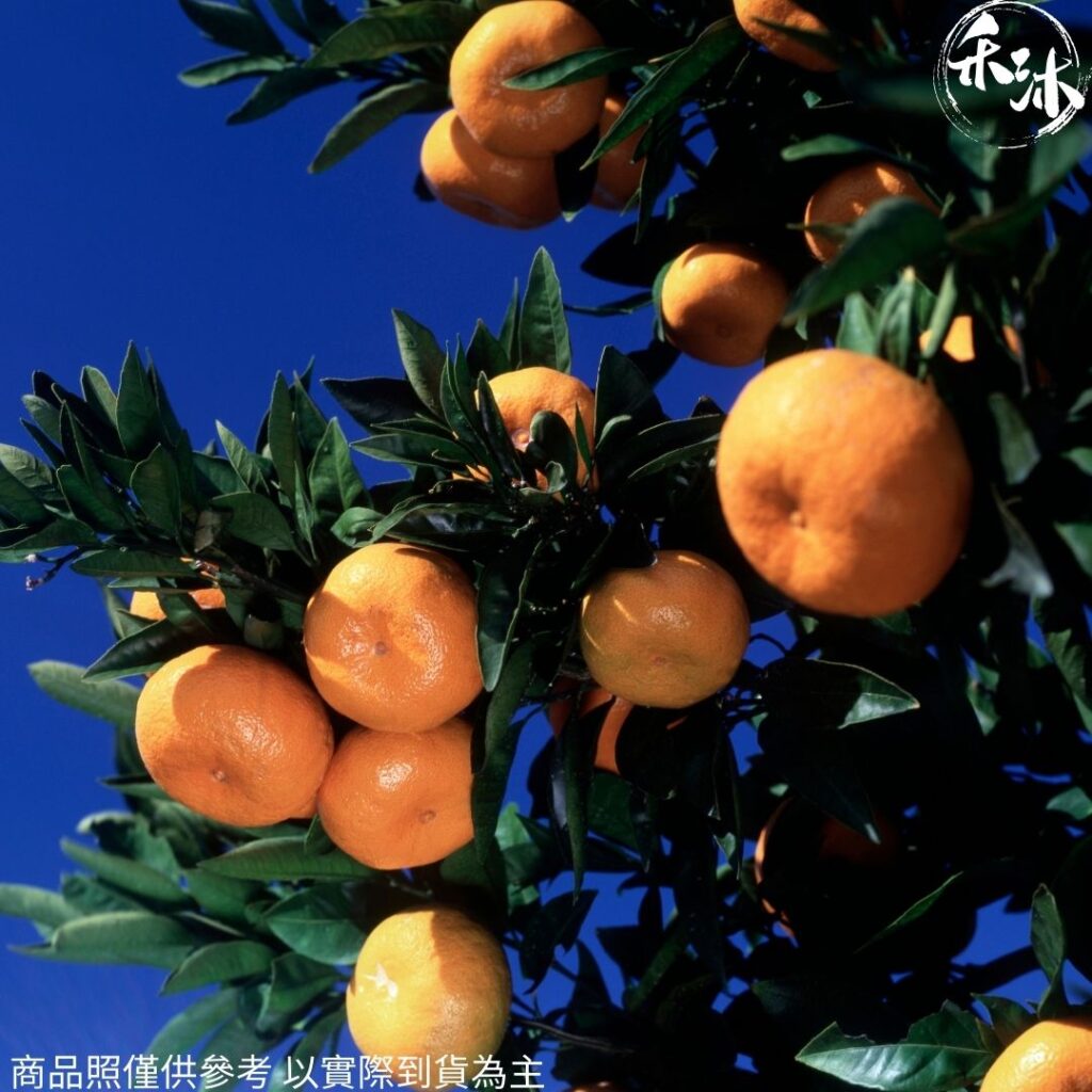 網紅媒合平台｜ 禾沐 大吉大利年節禮盒｜ HoWu好物