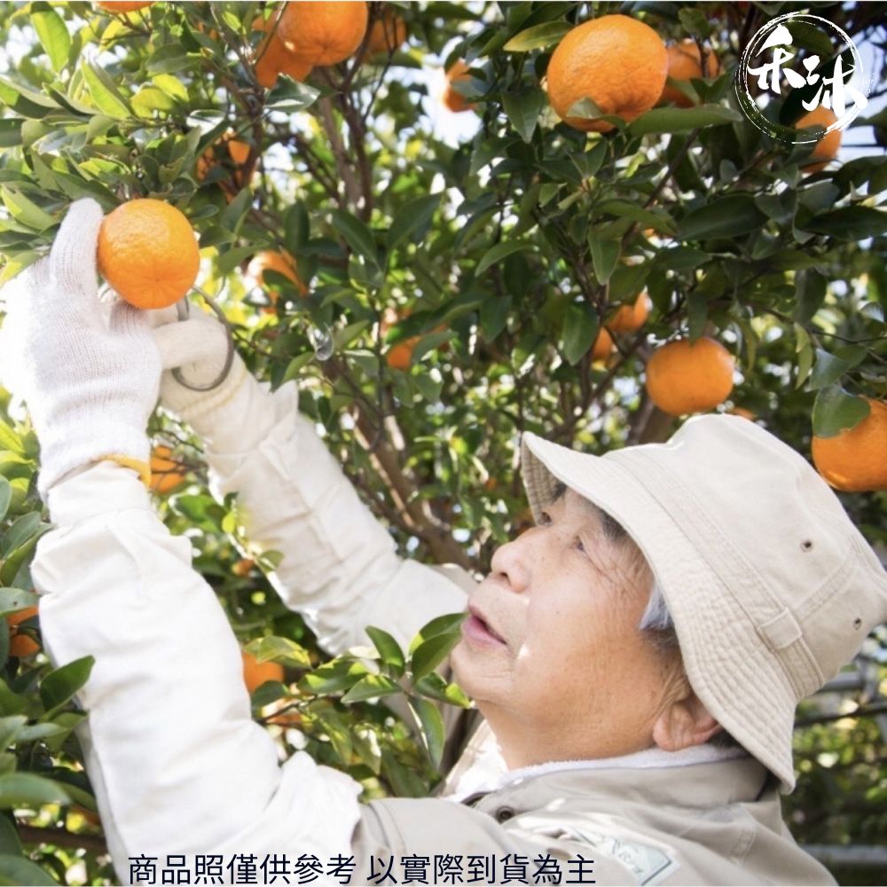 網紅媒合平台｜ 禾沐 日本蘋果蜜柑年節禮盒｜ HoWu好物